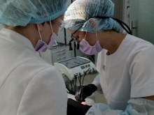 АКЦИЯ: Имплантаты Astra Tech - 35 000р до 31 декабря